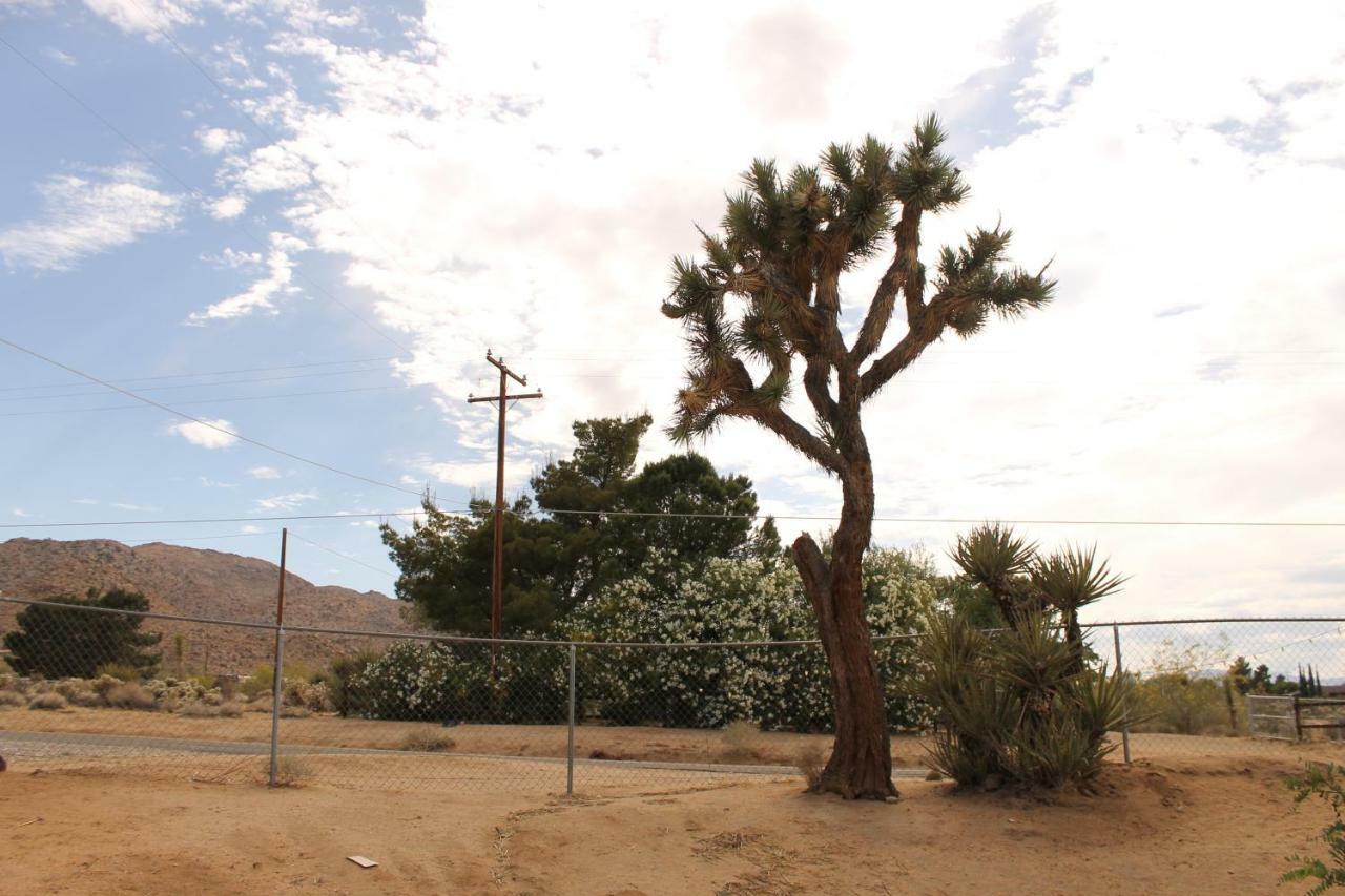 Eclectic Joshua Tree Villa Eksteriør bilde